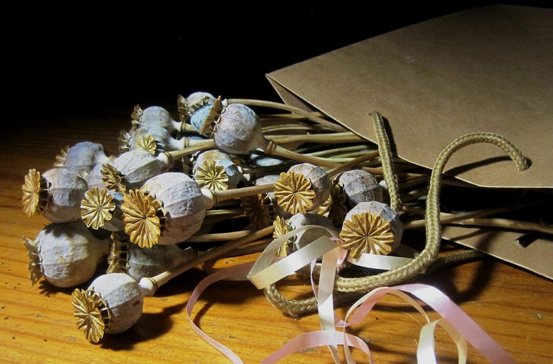 Galaxy Seed Packets