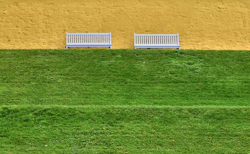 Galaxy Terrace