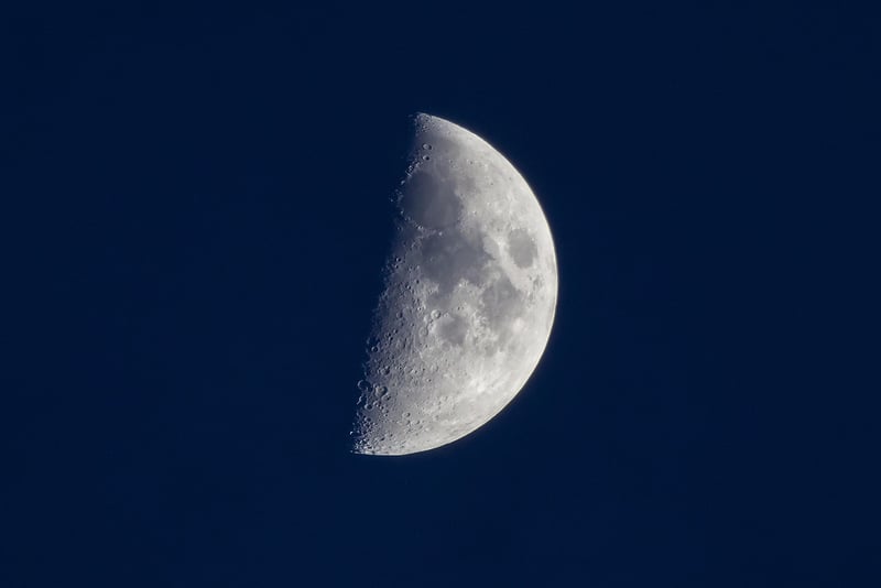 Lunar Fashion