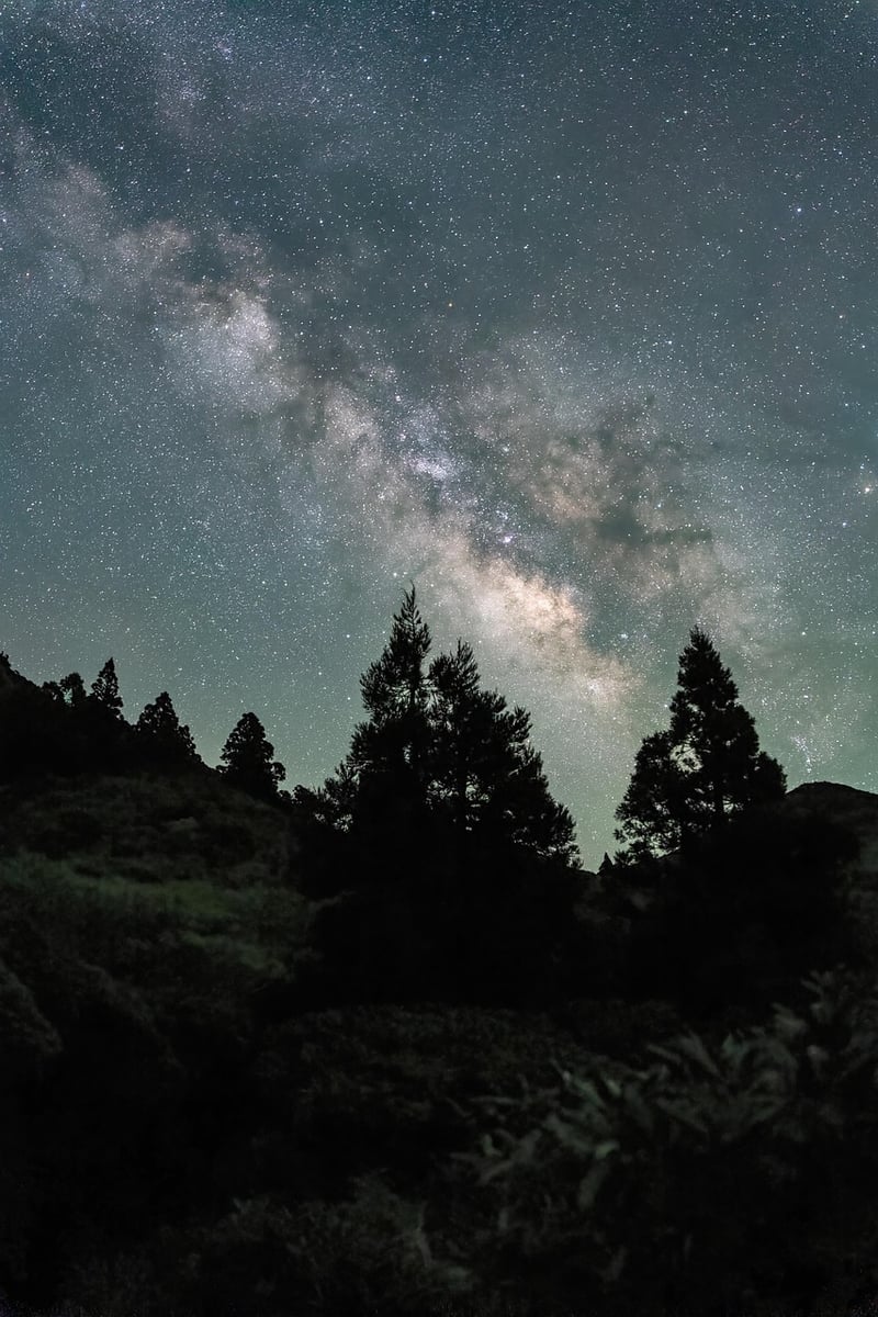 Milky Way Buffet