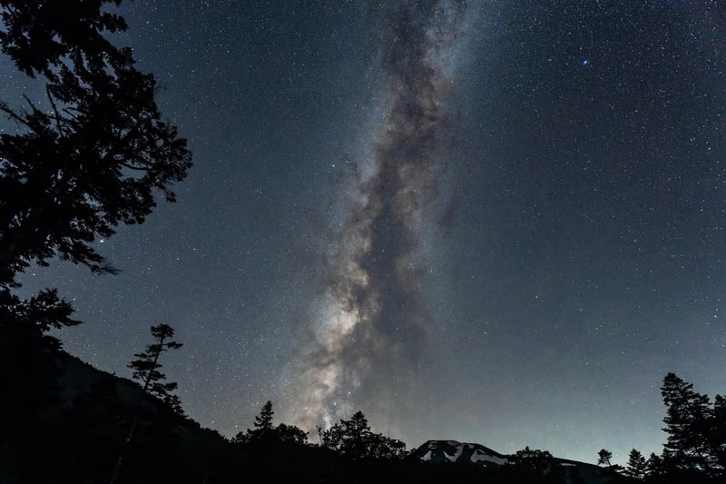 Milky Way Milkshake