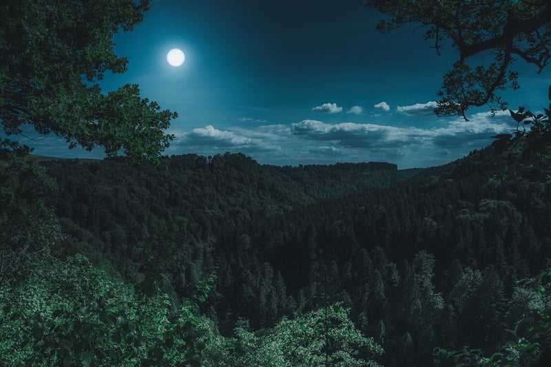 Romantic Moonlit Evening